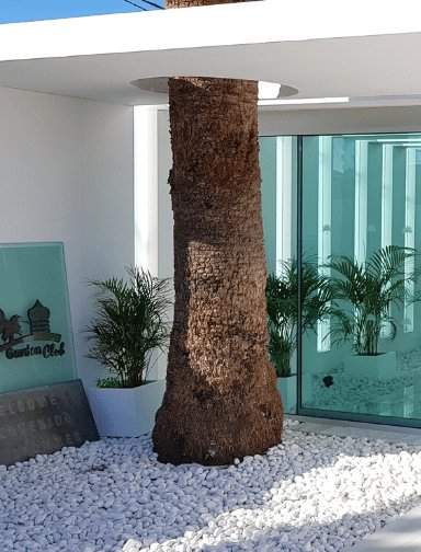 Caso exito Glassydur Hotel Canary Garden Club 4*