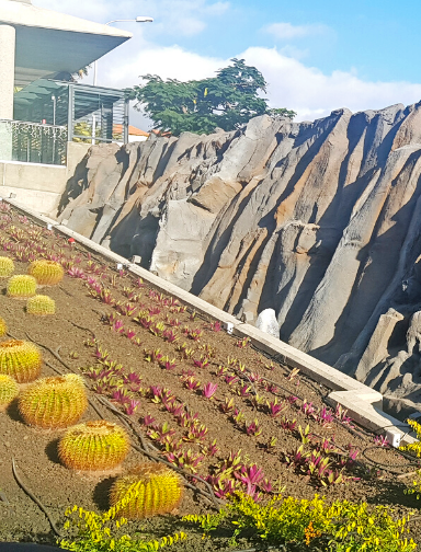 centro comercial rosa center