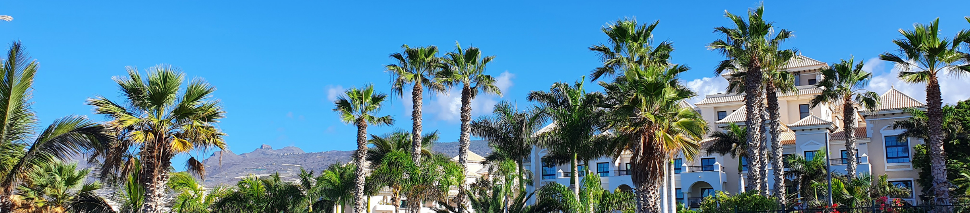 Gran Meliá Palacio de Isora